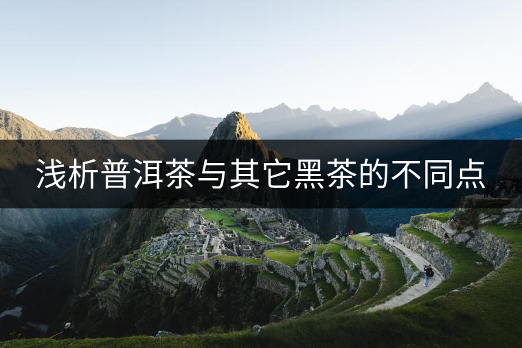 淺析普洱茶與其它黑茶的不同點 淺析普洱茶與其它黑茶的不同點