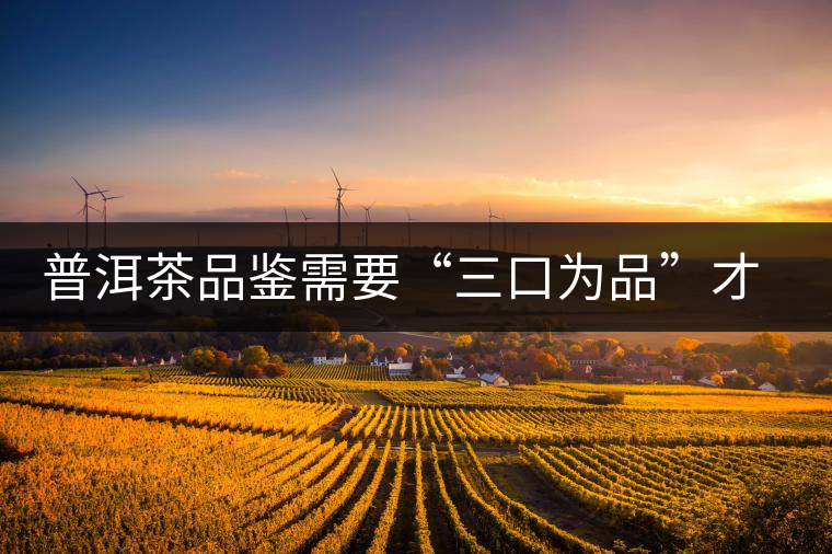 普洱茶品鑒需要“三口為品”才真實，那從哪里入手品鑒呢？