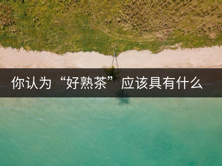 你認為“好熟茶”應該具有什么樣的標準? 你認為“好熟茶”應該具有什么樣的標準?