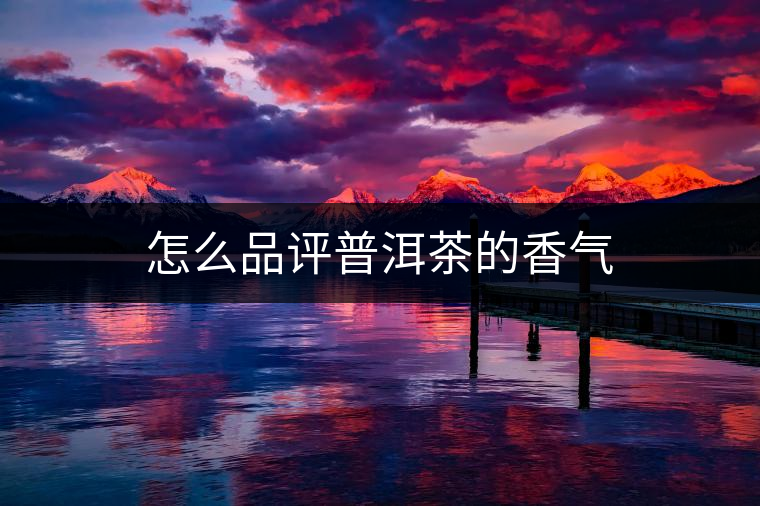 怎么品評普洱茶的香氣 怎么品評普洱茶的香氣