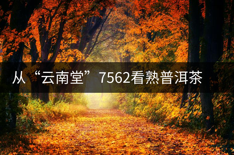 從“云南堂”7562看熟普洱茶發酵度的變遷