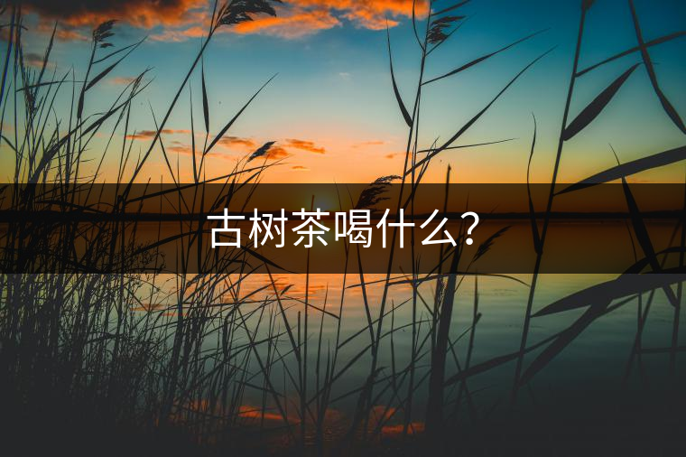 古樹茶喝什么? 古樹茶喝什么?
