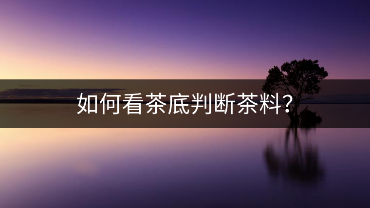 如何看茶底判斷茶料? 如何看茶底判斷茶料?