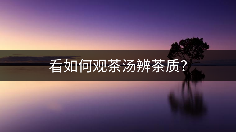 看如何觀茶湯辨茶質？