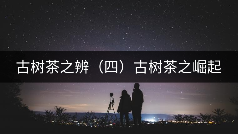 古樹茶之辨(四)古樹茶之崛起 古樹茶之辨(四)古樹茶之崛起