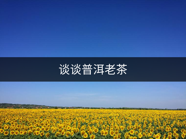 談談普洱老茶