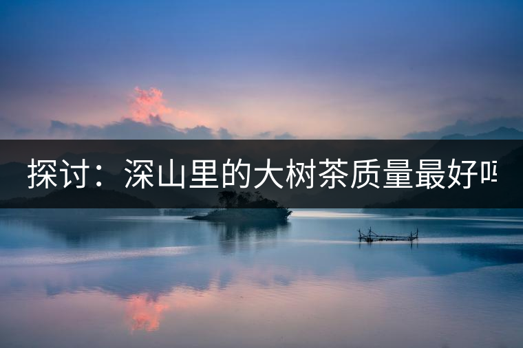 探討:深山里的大樹茶質(zhì)量最好嗎? 探討:深山里的大樹茶質(zhì)量最好嗎?