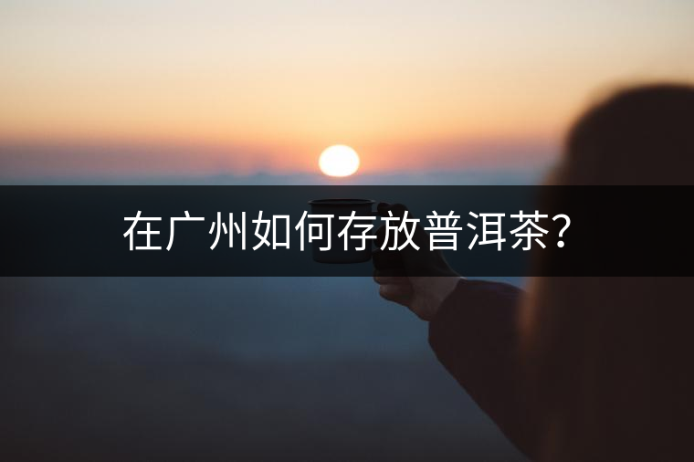 在廣州如何存放普洱茶? 在廣州如何存放普洱茶?