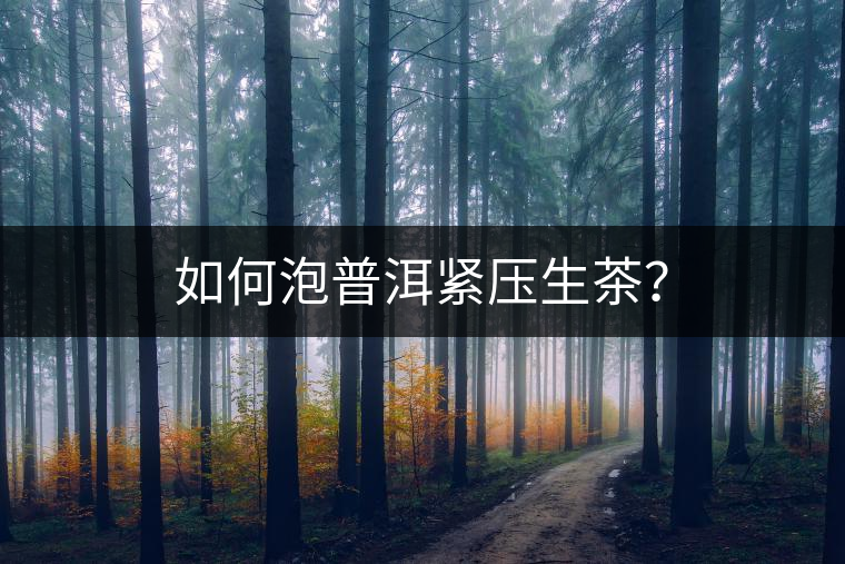 如何泡普洱緊壓生茶? 如何泡普洱緊壓生茶?