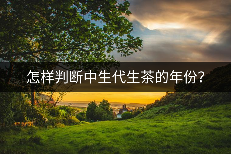 怎樣判斷中生代生茶的年份? 怎樣判斷中生代生茶的年份?