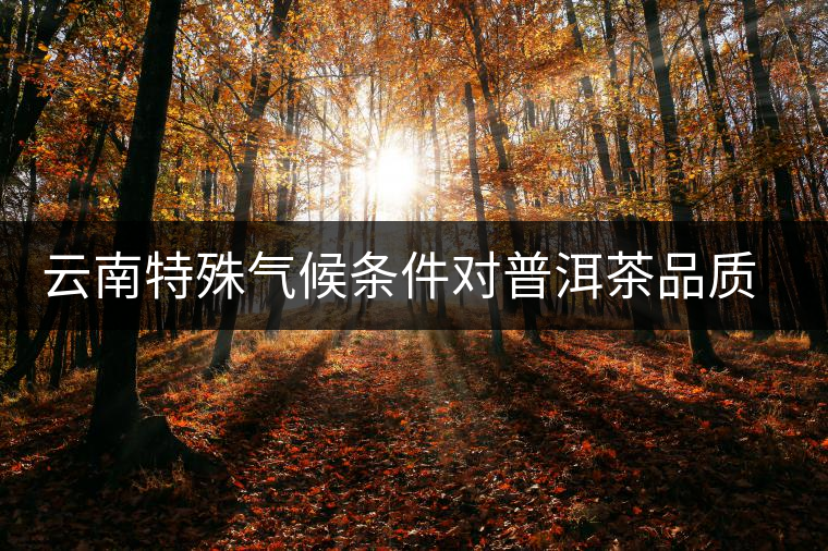 云南特殊氣候條件對(duì)普洱茶品質(zhì)的影響 云南特殊氣候條件對(duì)普洱茶品質(zhì)的影響