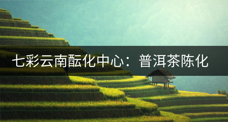 七彩云南醞化中心:普洱茶陳化的藝術 七彩云南醞化中心:普洱茶陳化的藝術