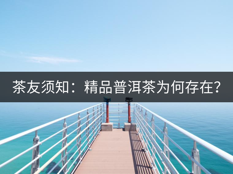 茶友須知：精品普洱茶為何存在？