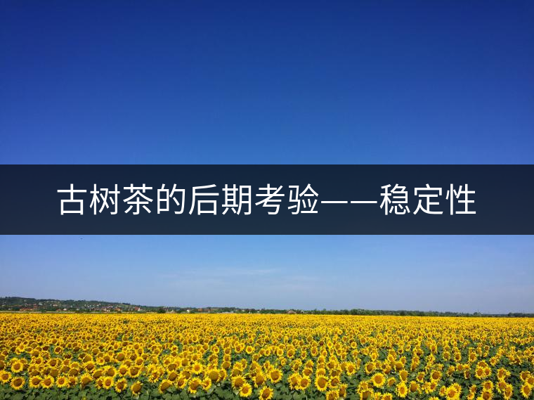 古樹茶的后期考驗(yàn)——穩(wěn)定性 古樹茶的后期考驗(yàn)——穩(wěn)定性