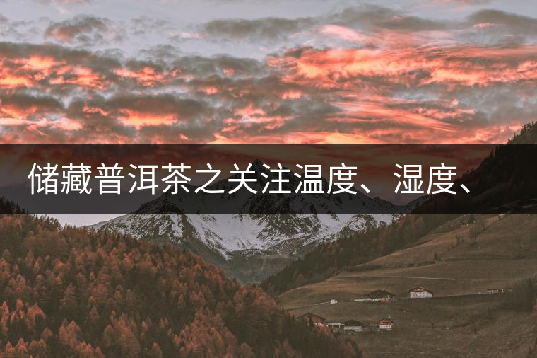 儲藏普洱茶之關注溫度、濕度、異味因素影響