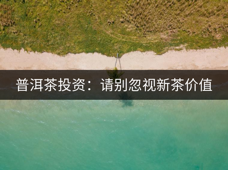 普洱茶投資：請別忽視新茶價值