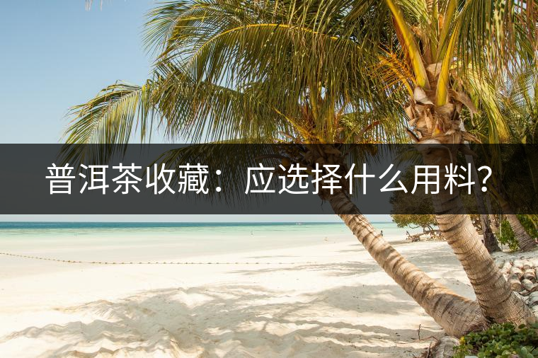 普洱茶收藏：應選擇什么用料？