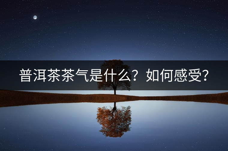 普洱茶茶氣是什么？如何感受？