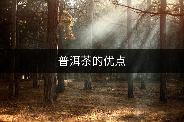 普洱茶的優點 普洱茶的優點