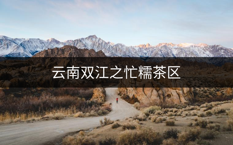 云南雙江之忙糯茶區