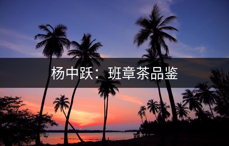 楊中躍:班章茶品鑒 楊中躍:班章茶品鑒