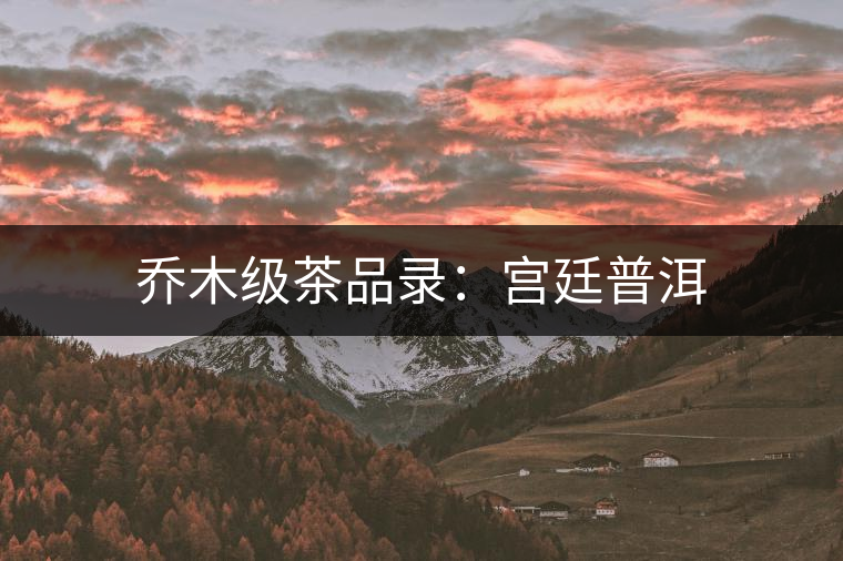 喬木級茶品錄:宮廷普洱 喬木級茶品錄:宮廷普洱