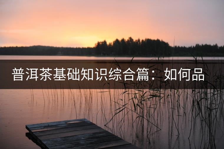 普洱茶基礎(chǔ)知識(shí)綜合篇:如何品鑒普洱茶 普洱茶基礎(chǔ)知識(shí)綜合篇:如何品鑒普洱茶