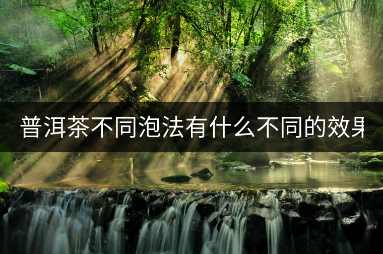 普洱茶不同泡法有什么不同的效果？