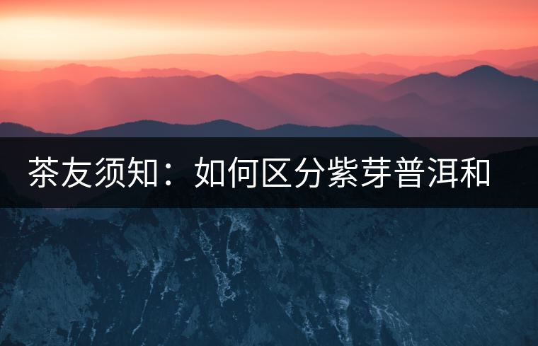 茶友須知:如何區分紫芽普洱和紫鵑普洱 茶友須知:如何區分紫芽普洱和紫鵑普洱