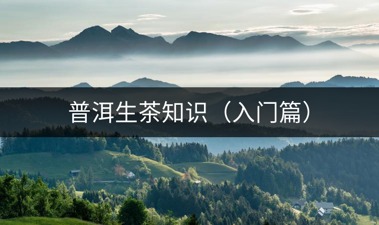 普洱生茶知識(入門篇) 普洱生茶知識(入門篇)