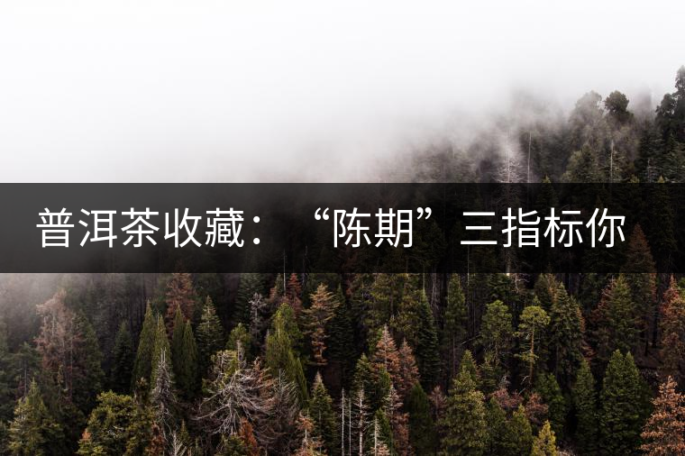 普洱茶收藏:“陳期”三指標你知道嗎? 普洱茶收藏:“陳期”三指標你知道嗎?