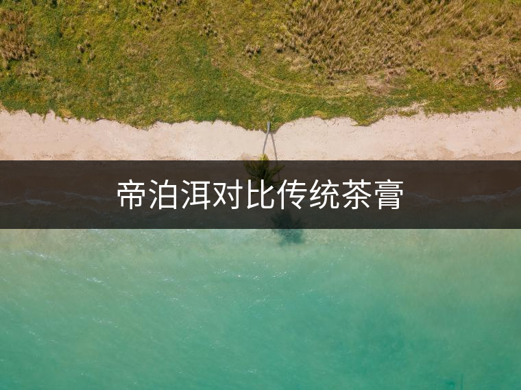 帝泊洱對比傳統茶膏 帝泊洱對比傳統茶膏