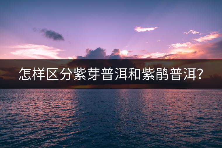 怎樣區分紫芽普洱和紫鵑普洱? 怎樣區分紫芽普洱和紫鵑普洱?