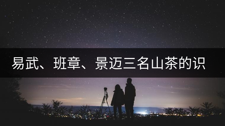 易武、班章、景邁三名山茶的識別 易武、班章、景邁三名山茶的識別