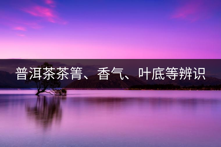 普洱茶茶箐、香氣、葉底等辨識