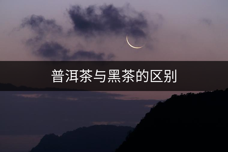 普洱茶與黑茶的區別 普洱茶與黑茶的區別