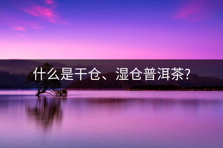 什么是干倉、濕倉普洱茶? 什么是干倉、濕倉普洱茶?
