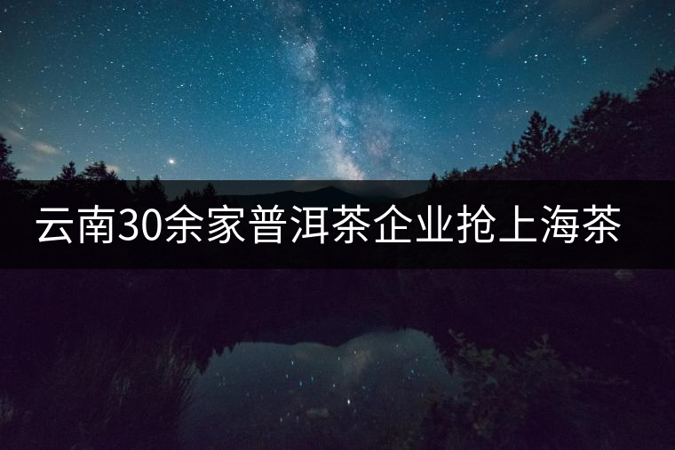 云南30余家普洱茶企業搶上海茶展展位