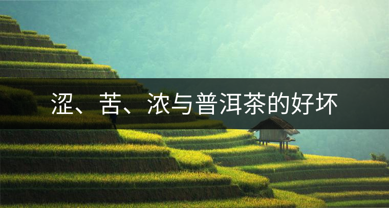 澀、苦、濃與普洱茶的好壞