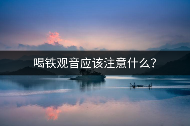 喝鐵觀音應該注意什么? 喝鐵觀音應該注意什么?