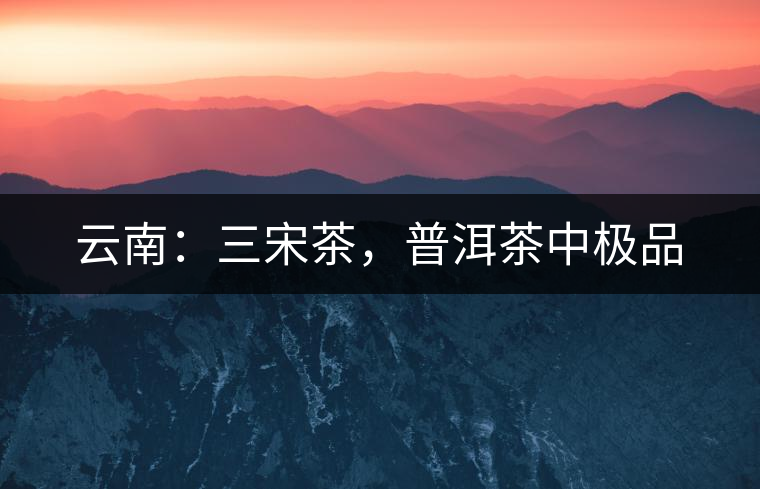 云南:三宋茶,普洱茶中極品 云南:三宋茶,普洱茶中極品