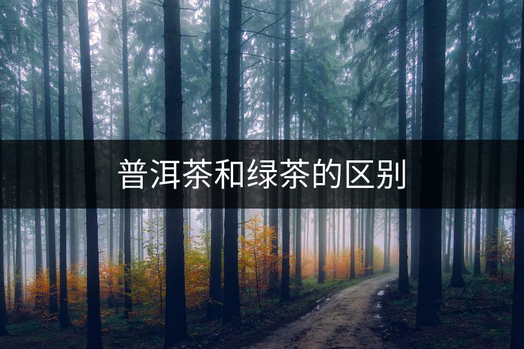 普洱茶和綠茶的區別