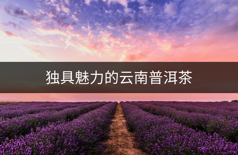 獨具魅力的云南普洱茶