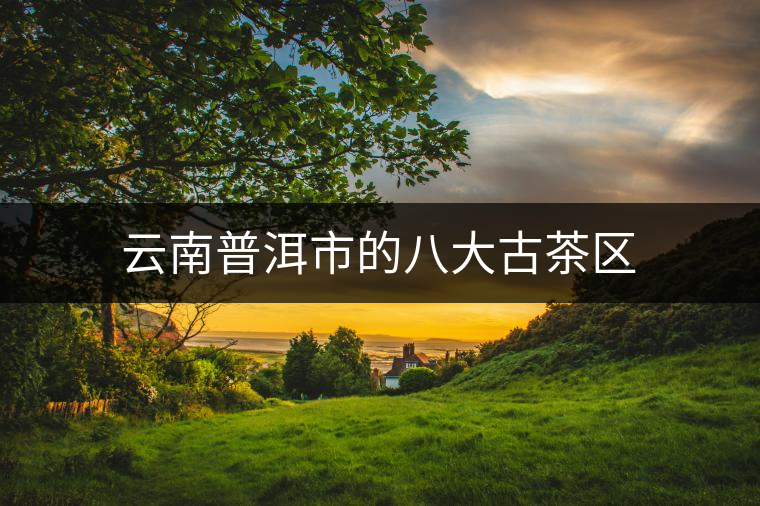 云南普洱市的八大古茶區