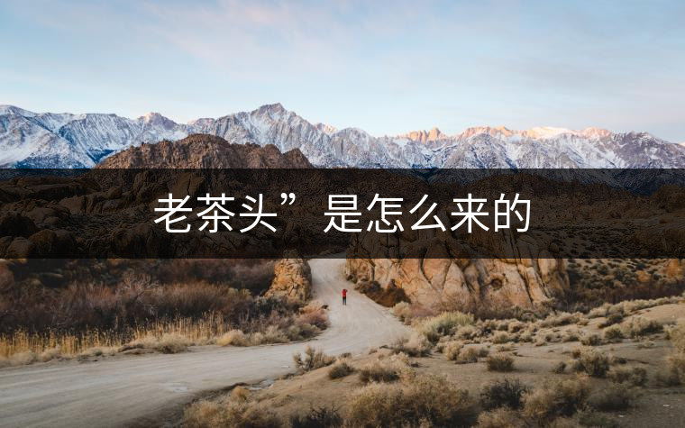 老茶頭”是怎么來的 老茶頭”是怎么來的