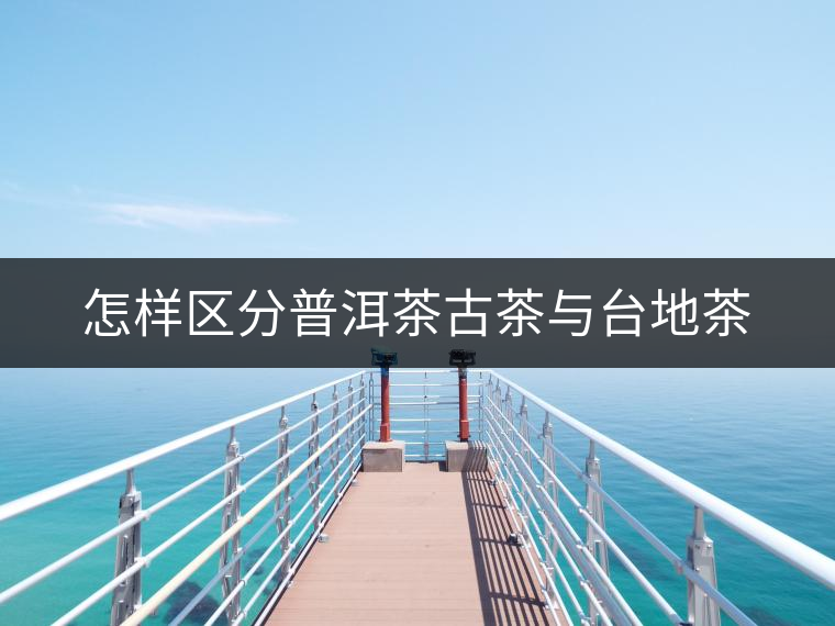 怎樣區分普洱茶古茶與臺地茶