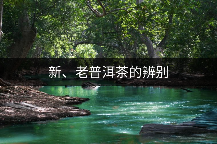 新、老普洱茶的辨別