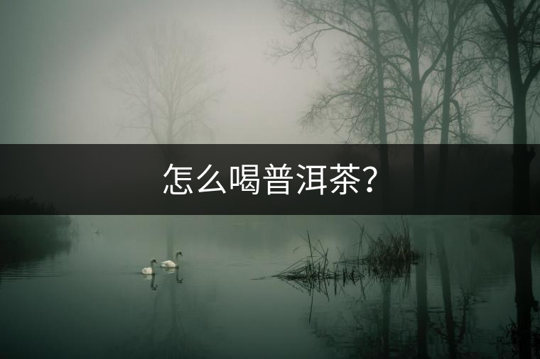 怎么喝普洱茶? 怎么喝普洱茶?