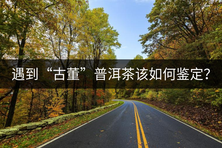 遇到“古董”普洱茶該如何鑒定? 遇到“古董”普洱茶該如何鑒定?