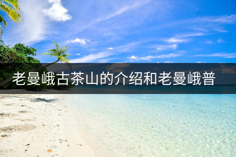 老曼峨古茶山的介紹和老曼峨普洱茶的口感特點